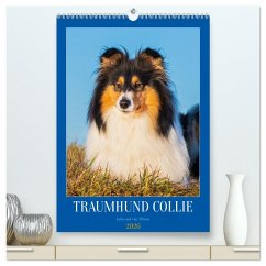 Cover Traumhund Collie - Liebe auf vier Pfoten (hochwertiger Premium Wandkalender 2026 DIN A2 hoch), Kunstdruck in Hochglanz