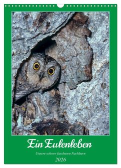 Ein Eulenleben, Unsere schwer fassbaren Nachbarn (Wandkalender 2026 DIN A3 hoch), CALVENDO Monatskalender
