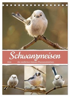 Cover Schwanzmeisen, die niedlichen kleinen Pfannenstielchen (Tischkalender 2026 DIN A5 hoch), CALVENDO Monatskalender