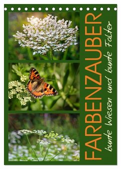 Cover Farbenzauber, bunte Wiesen und bunte Falter (Tischkalender 2026 DIN A5 hoch), CALVENDO Monatskalender