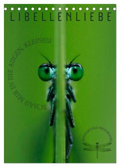 LibellenLiebe - Schau mir in die Augen, Kleines! (Tischkalender 2026 DIN A5 hoch), CALVENDO Monatskalender LibellenLiebe - Schau mir in die Augen, Kleines! (Tischkalender 2026 DIN A5 hoch), CALVENDO Monatskalender