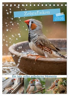 Zebrafinken - Ein Jahr voller gefiederter Momente (Tischkalender 2026 DIN A5 hoch), CALVENDO Monatskalender