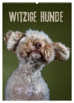 Witzige Hunde (Wandkalender 2026 DIN A2 hoch), CALVENDO Monatskalender