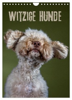 Witzige Hunde (Wandkalender 2026 DIN A4 hoch), CALVENDO Monatskalender