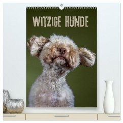 Witzige Hunde (hochwertiger Premium Wandkalender 2026 DIN A2 hoch), Kunstdruck in Hochglanz