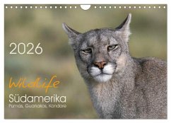 Cover Wildlife Südamerika (Wandkalender 2026 DIN A4 quer), CALVENDO Monatskalender