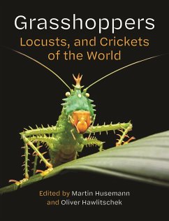 Grasshoppers, Locusts, and Crickets of the World (eBook, PDF) - Husemann, Martin; Hawlitschek, Oliver
