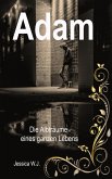 Adam 7 (eBook, ePUB)