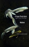 A Hope Photo Book - Light from the East - Nature (eBook, ePUB) A Hope Photo Book - Light from the East - Nature (eBook, ePUB)