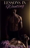 Lessons in Wanting (eBook, ePUB)
