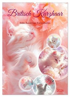 Cover Britisch Kurzhaar (Wandkalender 2026 DIN A2 hoch), CALVENDO Monatskalender
