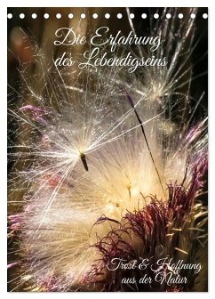Die Erfahrung des Lebendigseins (Tischkalender 2026 DIN A5 hoch), CALVENDO Monatskalender Die Erfahrung des Lebendigseins (Tischkalender 2026 DIN A5 hoch), CALVENDO Monatskalender