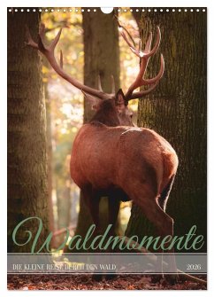 Waldmomente (Wandkalender 2026 DIN A3 hoch), CALVENDO Monatskalender