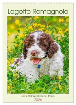Lagotto Romagnolo - Der Trüffelhund Italiens - Planer (Wandkalender 2026 DIN A2 hoch), CALVENDO Monatskalender Cover Lagotto Romagnolo - Der Trüffelhund Italiens - Planer (Wandkalender 2026 DIN A2 hoch), CALVENDO Monatskalender
