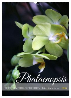 Phalaenopsis - Schöne Schmetterlingsorchideen (Wandkalender 2026 DIN A2 hoch), CALVENDO Monatskalender Cover Phalaenopsis - Schöne Schmetterlingsorchideen (Wandkalender 2026 DIN A2 hoch), CALVENDO Monatskalender