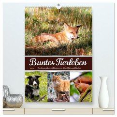 Cover Buntes Tierleben (hochwertiger Premium Wandkalender 2026 DIN A2 hoch), Kunstdruck in Hochglanz