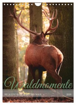 Waldmomente (Wandkalender 2026 DIN A4 hoch), CALVENDO Monatskalender