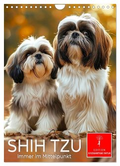 Shih Tzu - immer im Mittelpunkt (Wandkalender 2026 DIN A4 hoch), CALVENDO Monatskalender Shih Tzu - immer im Mittelpunkt (Wandkalender 2026 DIN A4 hoch), CALVENDO Monatskalender