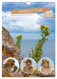 Cover Gibraltar - Die Heimat der Berberaffen auf dem Rock (Wandkalender 2026 DIN A4 hoch), CALVENDO Monatskalender