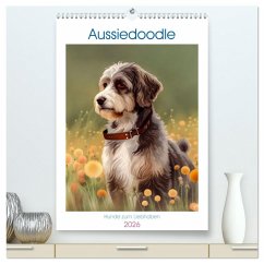 Aussiedoodle - Hunde zum Liebhaben (hochwertiger Premium Wandkalender 2026 DIN A2 hoch), Kunstdruck in Hochglanz Aussiedoodle - Hunde zum Liebhaben (hochwertiger Premium Wandkalender 2026 DIN A2 hoch), Kunstdruck in Hochglanz