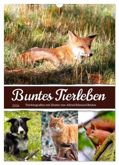 Cover Buntes Tierleben (Wandkalender 2026 DIN A3 hoch), CALVENDO Monatskalender