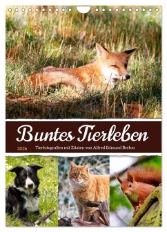 Cover Buntes Tierleben (Wandkalender 2026 DIN A4 hoch), CALVENDO Monatskalender