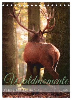 Waldmomente (Tischkalender 2026 DIN A5 hoch), CALVENDO Monatskalender