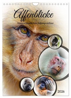 Cover Affenblicke (Wandkalender 2026 DIN A4 hoch), CALVENDO Monatskalender