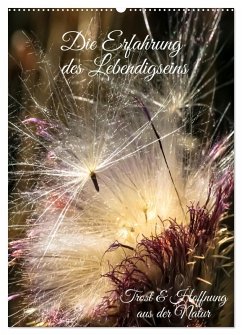 Die Erfahrung des Lebendigseins (Wandkalender 2026 DIN A2 hoch), CALVENDO Monatskalender