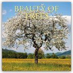 Beauty of Trees - Die Schönheit der Bäume 2026 - 16-Monatskalender Beauty of Trees - Die Schönheit der Bäume 2026 - 16-Monatskalender