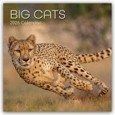 Big Cats - Raubkatzen - Löwen Tiger Geparden Leoparden 2026 - 16-Monatskalender Big Cats - Raubkatzen - Löwen Tiger Geparden Leoparden 2026 - 16-Monatskalender