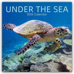 Cover Under the Sea - Tropische Fische 2026 - 16-Monatskalender