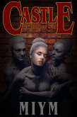 Castle of Hidden Sin (eBook, ePUB)