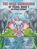 The Wild Imaginings of Telma The Wild Imaginings of Telma