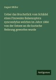 Ueber das Bruchstück vom Schädel eines Finnwales Balaenoptera syncondylus welches im Jahre 1860 von der Ostsee an die kurische Nehrung geworfen wurde