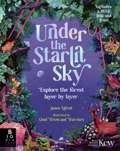 Cover Under the Starlit Sky
