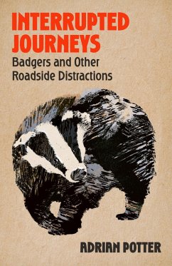 Cover Interrupted Journeys