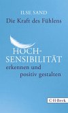 Die Kraft des Fühlens (eBook, PDF)
