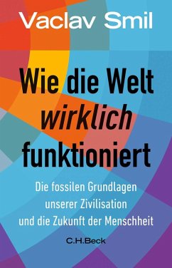 Cover Wie die Welt wirklich funktioniert  (Mängelexemplar)