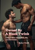 Owned By A Black Twink (eBook, ePUB)