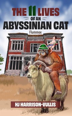 Cover The 11 Lives of an Abyssinian Cat: Flummox (eBook, ePUB)