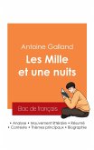 Réussir son Bac de français 2025 : Analyse du recueil Les Mille et une nuits de Antoine Galland Réussir son Bac de français 2025 : Analyse du recueil Les Mille et une nuits de Antoine Galland