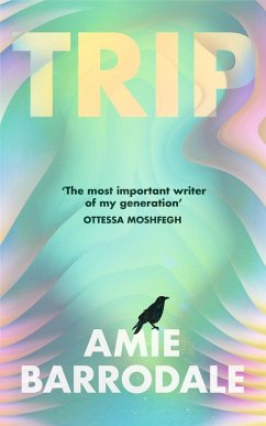 Cover Trip (eBook, ePUB)