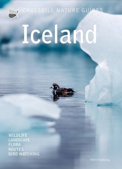 Cover Iceland
