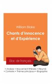 Réussir son Bac de français 2025 : Analyse du recueil Chants d'Innocence et d'Expérience de William Blake Réussir son Bac de français 2025 : Analyse du recueil Chants d'Innocence et d'Expérience de William Blake