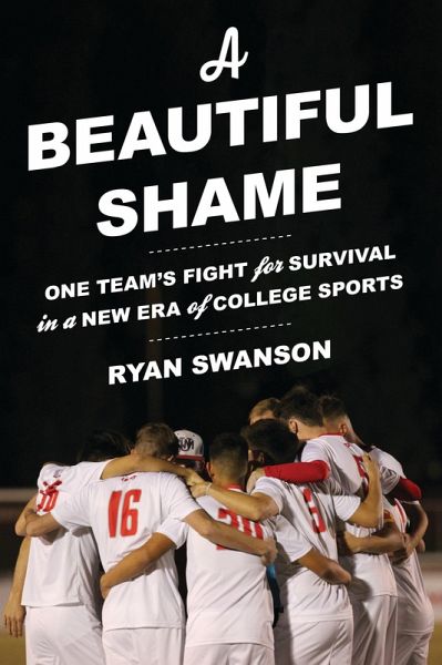 A Beautiful Shame (eBook, PDF)