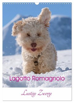 Cover Lagotto Romagnolo - Lustige Zwerge (Wandkalender 2026 DIN A3 hoch), CALVENDO Monatskalender