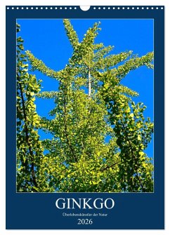 Ginkgo (Wandkalender 2026 DIN A3 hoch), CALVENDO Monatskalender
