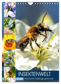 INSEKTENWELT - Heimische Nützlinge ganz nah (Wandkalender 2026 DIN A4 hoch), CALVENDO Monatskalender
