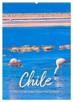 Chile - Ein unentdecktes Paradies. (Wandkalender 2026 DIN A2 hoch), CALVENDO Monatskalender